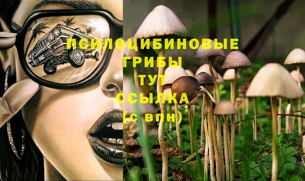 гашиш Арсеньев