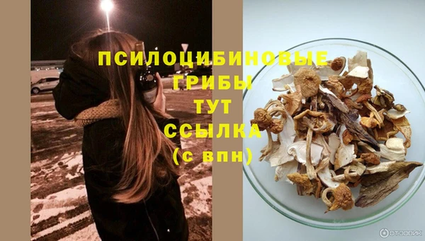 Альфа ПВП Армянск