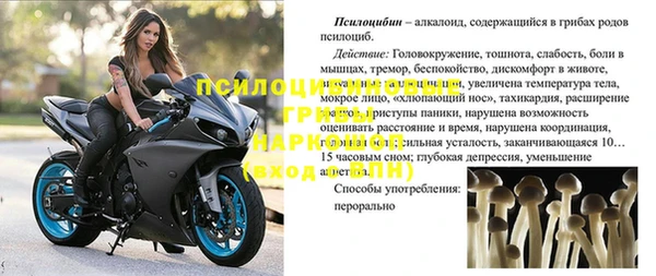 гашиш Арсеньев