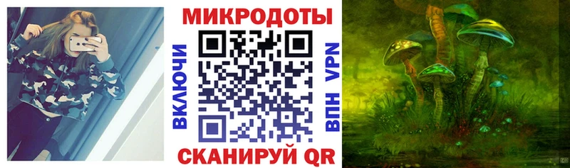 Псилоцибиновые грибы Psilocybine cubensis как найти закладки Печора